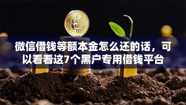 微信借钱等额本金怎么还的话，可以看看这7个黑户专用借钱平台