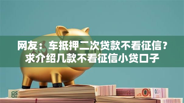 网友：车抵押二次贷款不看征信？求介绍几款不看征信小贷口子