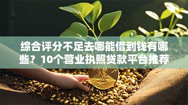 综合评分不足去哪能借到钱有哪些？10个营业执照贷款平台推荐给你