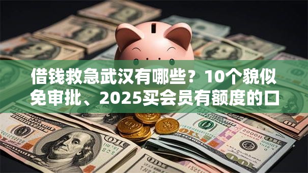 借钱救急武汉有哪些？10个貌似免审批、2025买会员有额度的口子合集