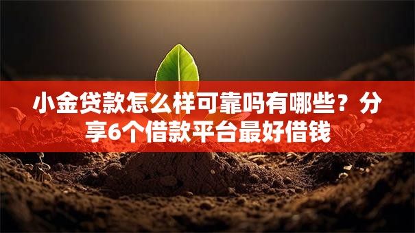 小金贷款怎么样可靠吗有哪些？分享6个借款平台最好借钱