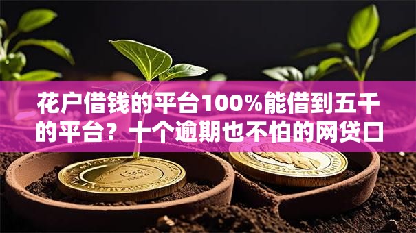 花户借钱的平台100%能借到五千的平台？十个逾期也不怕的网贷口子风控不严的平台