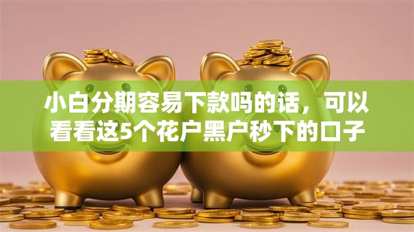 小白分期容易下款吗的话，可以看看这5个花户黑户秒下的口子