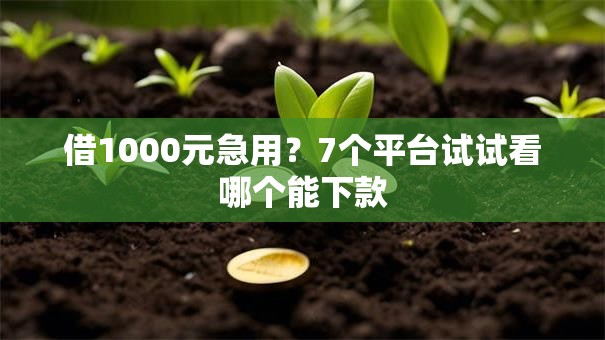 借1000元急用？7个平台试试看哪个能下款