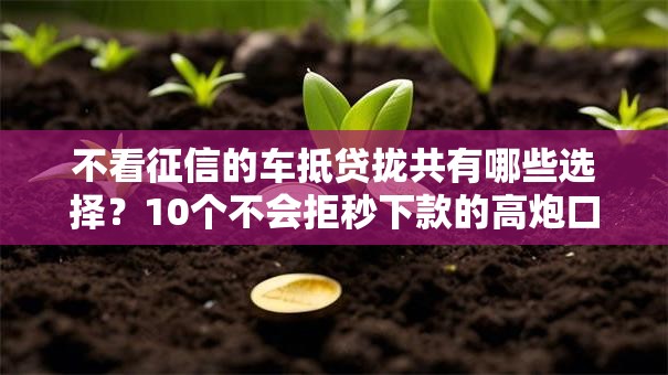 不看征信的车抵贷拢共有哪些选择？10个不会拒秒下款的高炮口子详解