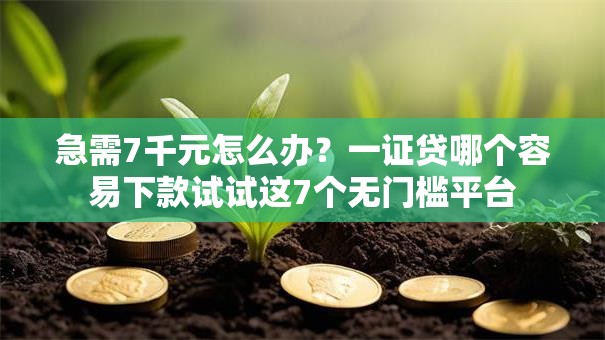 急需7千元怎么办?一证贷哪个容易下款试试这7个无门槛平台 急需7千元怎么办?一证贷哪个容易下款试试这7个无门槛平台