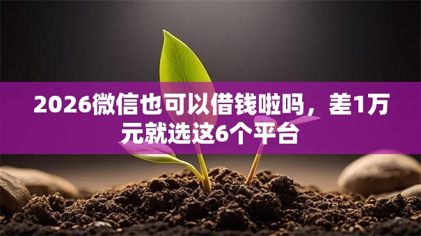 2026微信也可以借钱啦吗，差1万元就选这6个平台