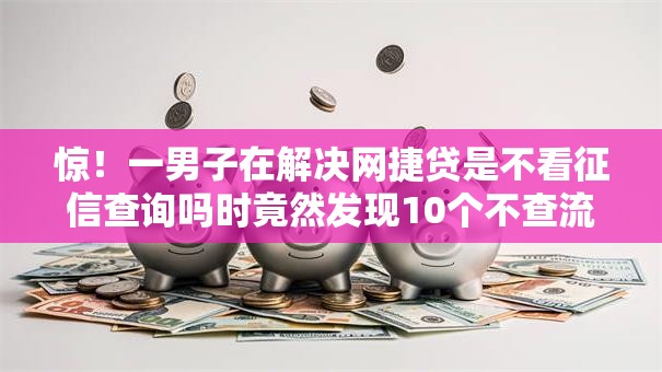 惊！一男子在解决网捷贷是不看征信查询吗时竟然发现10个不查流水的小额度贷款平台，事后分享了出来