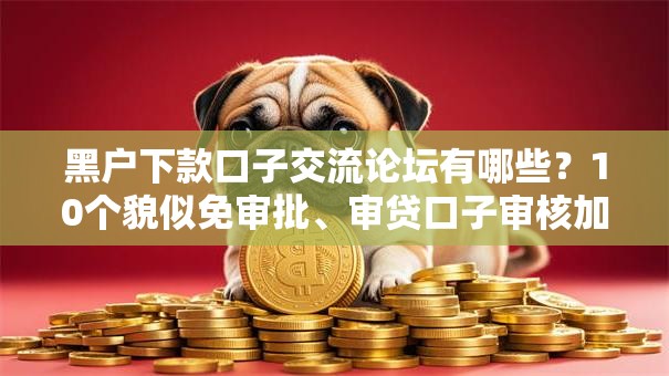 黑户下款口子交流论坛有哪些？10个貌似免审批、审贷口子审核加快的口子合集