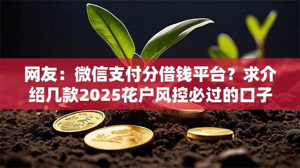网友：微信支付分借钱平台？求介绍几款2025花户风控必过的口子论坛