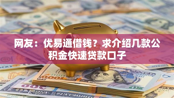 网友：优易通借钱？求介绍几款公积金快速贷款口子