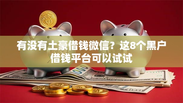 有没有土豪借钱微信？这8个黑户借钱平台可以试试