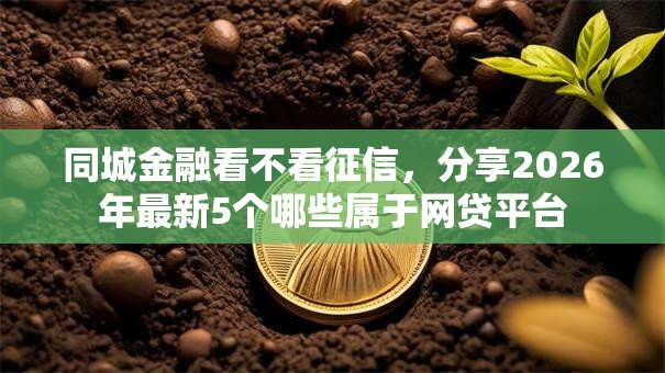 同城金融看不看征信,分享2026年最新5个哪些属于网贷平台 同城金融看不看征信,分享2026年最新5个哪些属于网贷平台