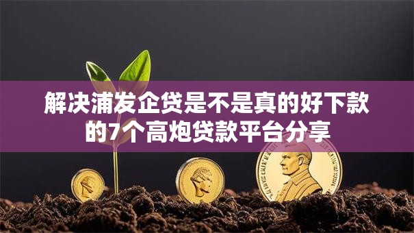 解决浦发企贷是不是真的好下款的7个高炮贷款平台分享
