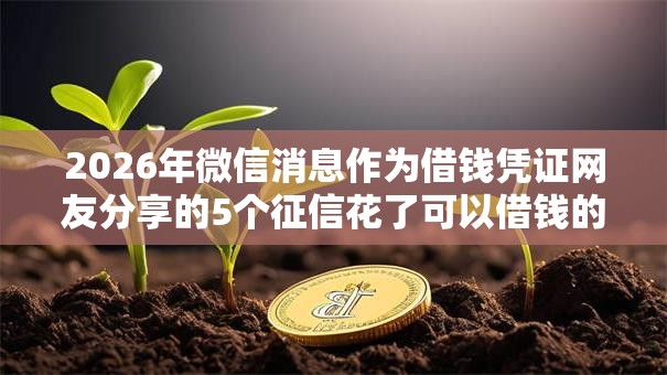 2026年微信消息作为借钱凭证网友分享的5个征信花了可以借钱的网贷软件我觉得不错！