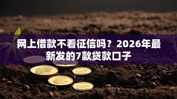 网上借款不看征信吗?2026年最新发的7款贷款口子 网上借款不看征信吗?2026年最新发的7款贷款口子