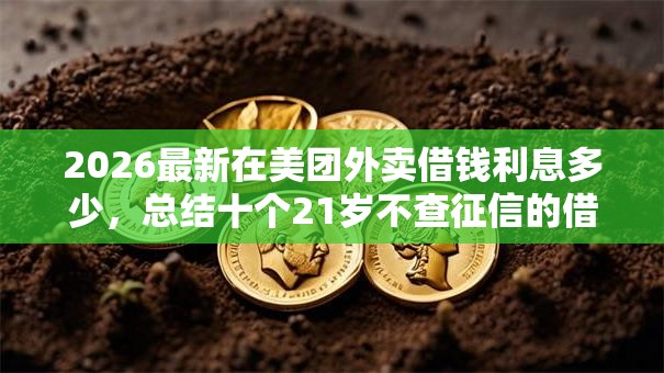 2026最新在美团外卖借钱利息多少，总结十个21岁不查征信的借款平台百分百通过！