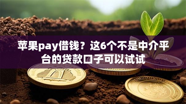 苹果pay借钱？这6个不是中介平台的贷款口子可以试试