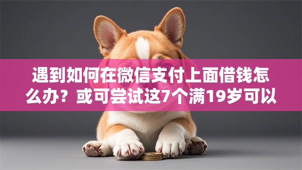 遇到如何在微信支付上面借钱怎么办？或可尝试这7个满19岁可以借款的口子