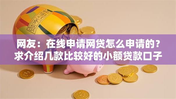 网友:在线申请网贷怎么申请的?求介绍几款比较好的小额贷款口子 网友:在线申请网贷怎么申请的?求介绍几款比较好的小额贷款口子