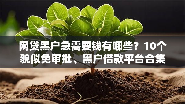 网贷黑户急需要钱有哪些？10个貌似免审批、黑户借款平台合集