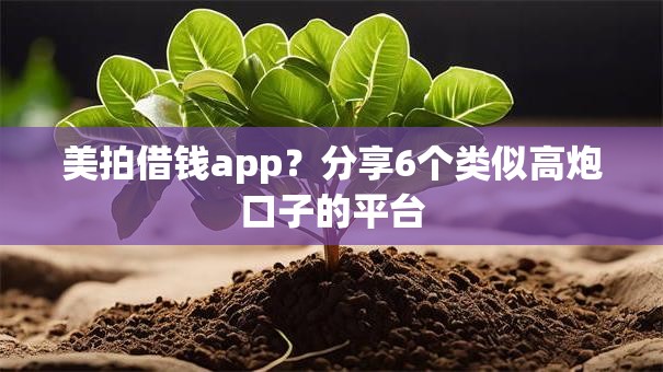美拍借钱app？分享6个类似高炮口子的平台