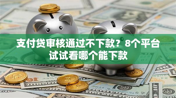 支付贷审核通过不下款？8个平台试试看哪个能下款