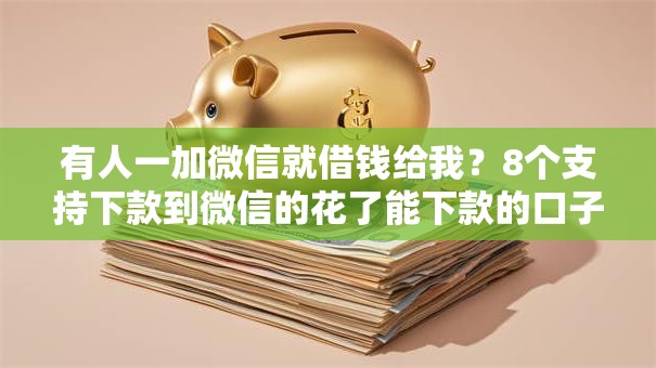 有人一加微信就借钱给我？8个支持下款到微信的花了能下款的口子