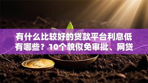 有什么比较好的贷款平台利息低有哪些？10个貌似免审批、网贷平台投诉电话合集