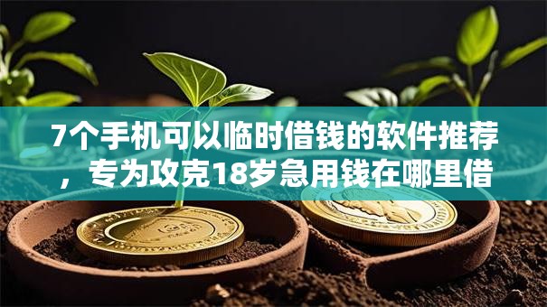 7个手机可以临时借钱的软件推荐，专为攻克18岁急用钱在哪里借难题