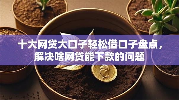 十大网贷大口子轻松借口子盘点，解决啥网贷能下款的问题