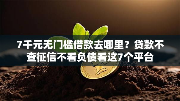 7千元无门槛借款去哪里?贷款不查征信不看负债看这7个平台 7千元无门槛借款去哪里?贷款不查征信不看负债看这7个平台