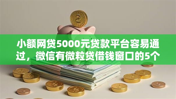 小额网贷5000元贷款平台容易通过，微信有微粒贷借钱窗口的5个平台介绍