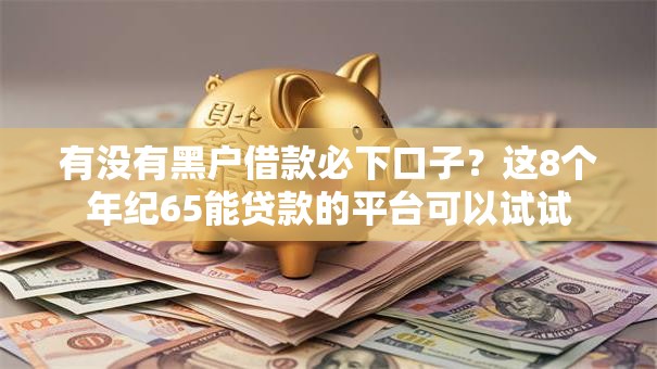 有没有黑户借款必下口子？这8个年纪65能贷款的平台可以试试