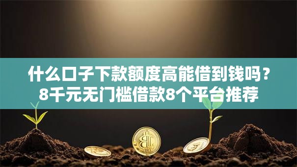 什么口子下款额度高能借到钱吗？8千元无门槛借款8个平台推荐