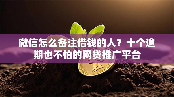 微信怎么备注借钱的人?十个逾期也不怕的网贷推广平台 微信怎么备注借钱的人?十个逾期也不怕的网贷推广平台