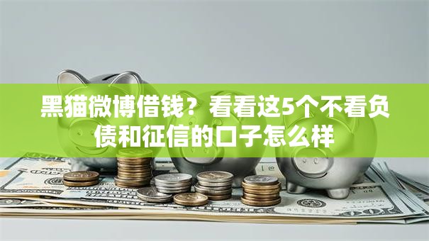 黑猫微博借钱？看看这5个不看负债和征信的口子怎么样
