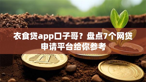 衣食贷app口子哥？盘点7个网贷申请平台给你参考