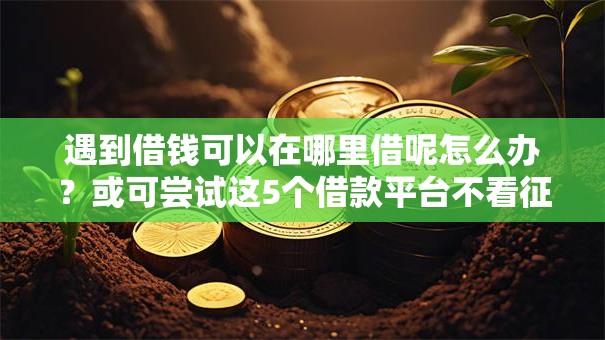 遇到借钱可以在哪里借呢怎么办？或可尝试这5个借款平台不看征信不看负债