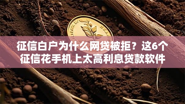 征信白户为什么网贷被拒？这6个征信花手机上太高利息贷款软件值得一试