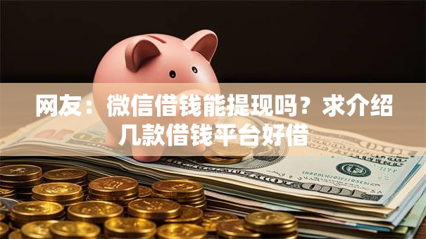 网友：微信借钱能提现吗？求介绍几款借钱平台好借