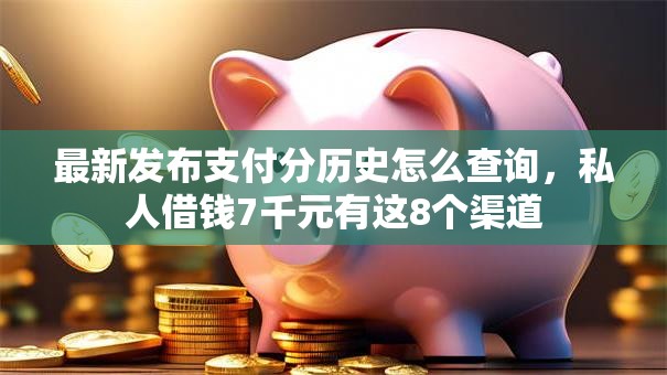 最新发布支付分历史怎么查询，私人借钱7千元有这8个渠道