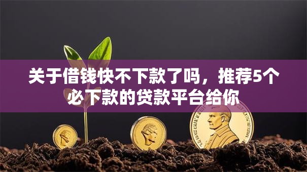 关于借钱快不下款了吗，推荐5个必下款的贷款平台给你