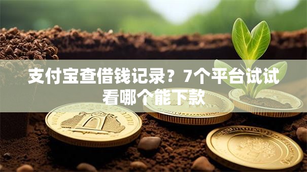 支付宝查借钱记录？7个平台试试看哪个能下款