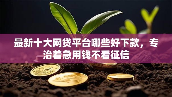 最新十大网贷平台哪些好下款，专治着急用钱不看征信