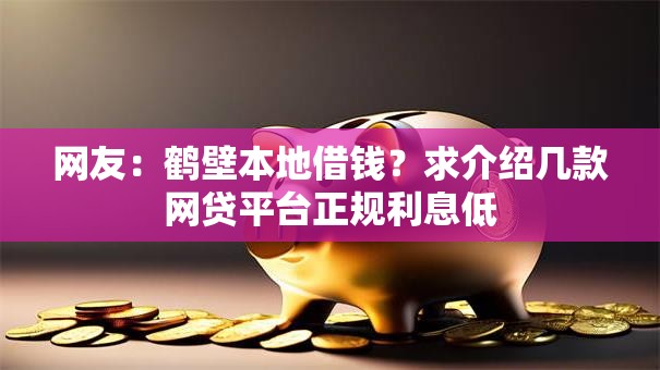 网友：鹤壁本地借钱？求介绍几款网贷平台正规利息低