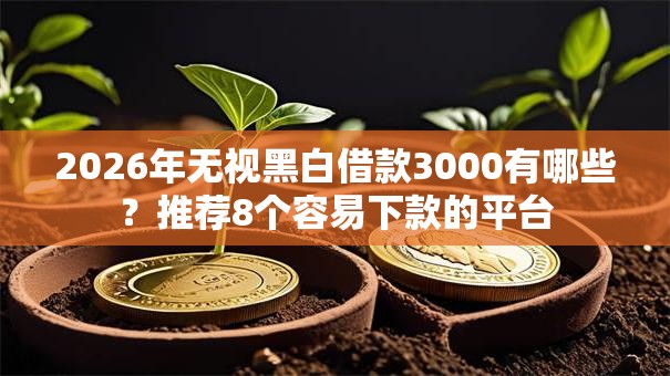2026年无视黑白借款3000有哪些？推荐8个容易下款的平台