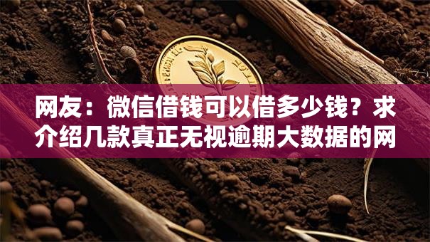 网友：微信借钱可以借多少钱？求介绍几款真正无视逾期大数据的网贷口子