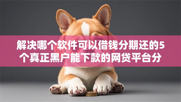 解决哪个软件可以借钱分期还的5个真正黑户能下款的网贷平台分享