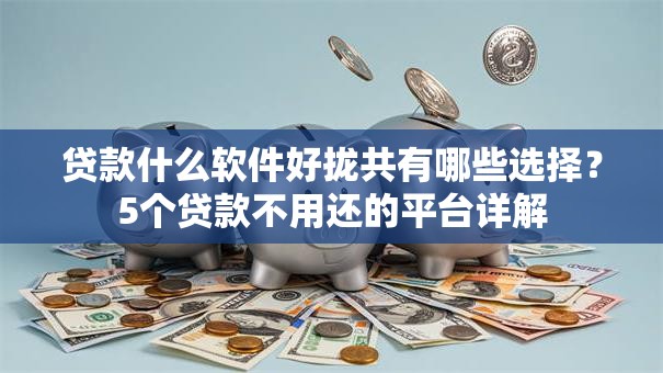 贷款什么软件好拢共有哪些选择？5个贷款不用还的平台详解